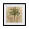 Stupell Industries Subdued Tropics Palm Framed Print Under Glass, design by Steve Hunziker